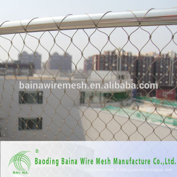 Excellente qualité en acier inoxydable Wire Mesh